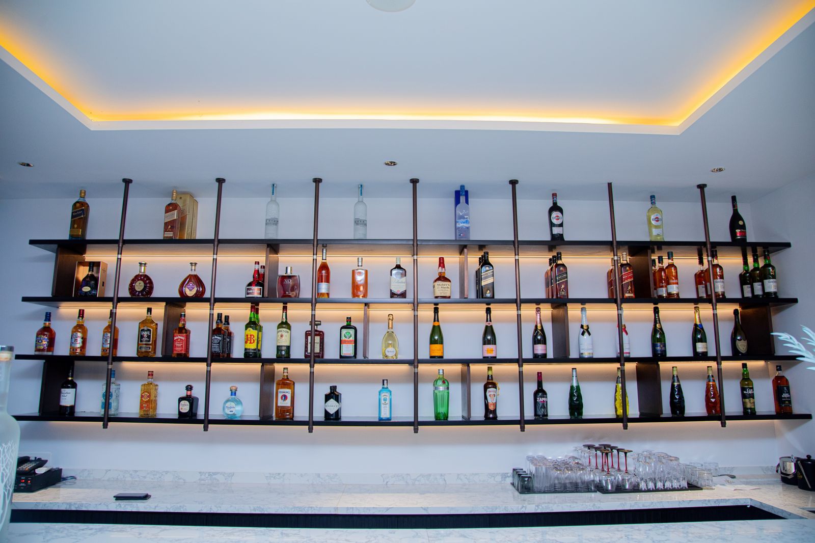 Start your Amazing Adventure!